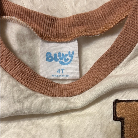 Toddler Girls' Bluey Chenille Fleece Pullover Sweatshirt in cream - Picture 5 of 15